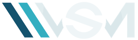 VSM